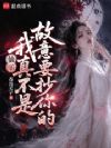 仙子,我真不是故意要抄你的